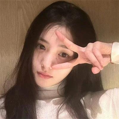 鸟,孤儿和愚人